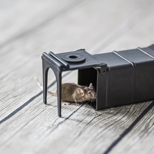 Armadilha para ratos - de captura viva - 8