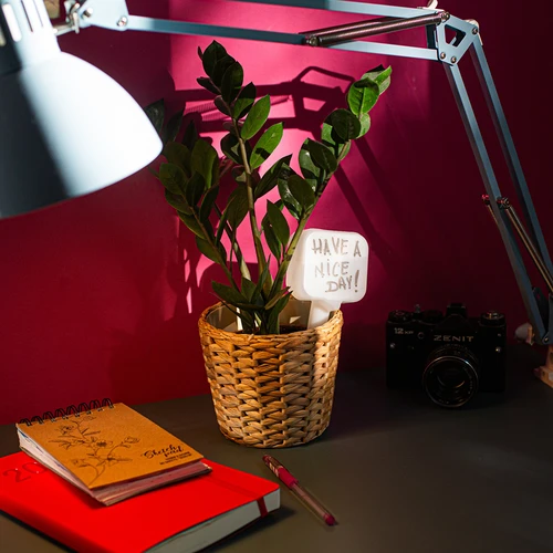 Autoirrigador para plantas – placa branca com estaca cerâmica, 200 ml - 11