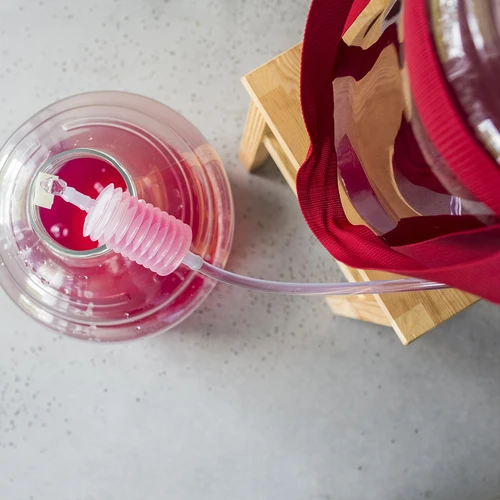 Balão para vinho, leve e inquebrável, com alças, 25 L - 18