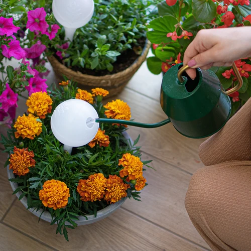 Bola de irrigação para plantas, branca fosca com base de cerâmica, 400ml - 8