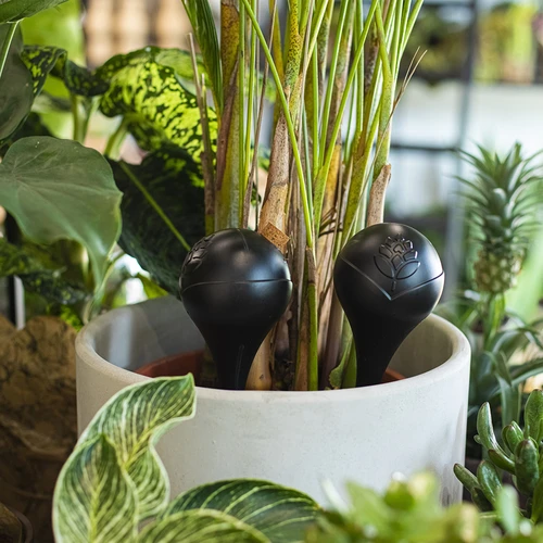 Bola de irrigação para plantas, preta fosca com base cerâmica, 400ml - 9