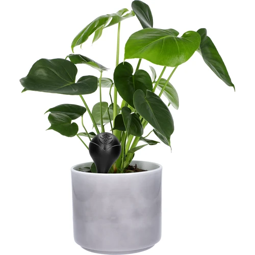 Bola de irrigação para plantas, preta fosca com base cerâmica, 400ml - 7