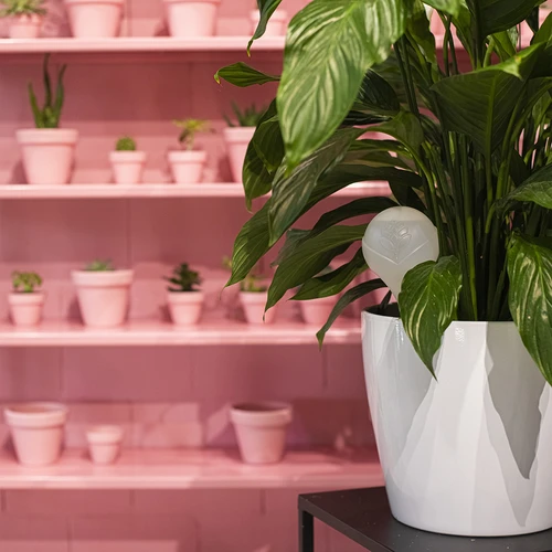 Bola de rega para plantas, branca mate com ponta cerâmica, 400 ml - 10