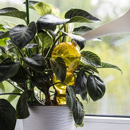 Bola de rega tripla (três câmaras), amarela translúcida, 600 ml - 6