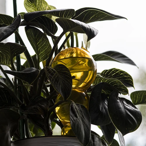 Bola de rega tripla (três câmaras), amarela translúcida, 600 ml - 7