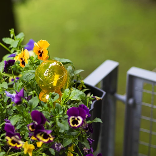 Bola de rega tripla (três câmaras), amarela translúcida, 600 ml - 8