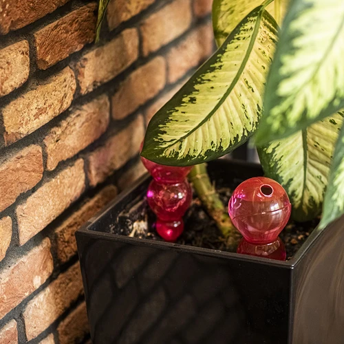 Bola de rega tripla (três câmaras), transparente cor-de-rosa, 600 ml - 8