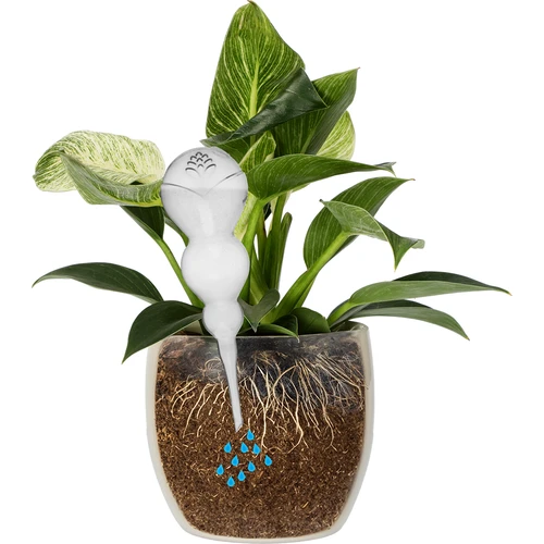 Bola de rega tripla (três câmaras), transparente e incolor, 600 ml - 3