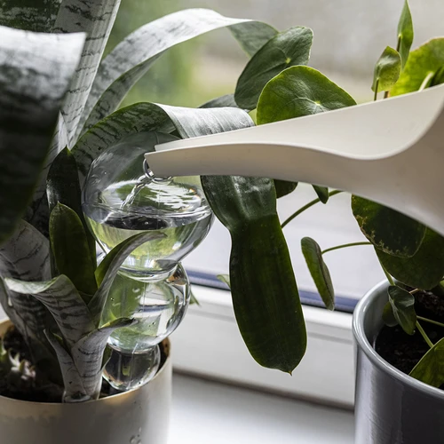 Bola de rega tripla (três câmaras), transparente e incolor, 600 ml - 6