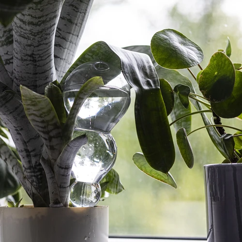 Bola de rega tripla (três câmaras), transparente e incolor, 600 ml - 7