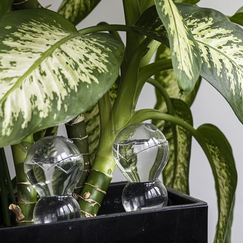 Bola de rega tripla (três câmaras), transparente e incolor, 600 ml - 8