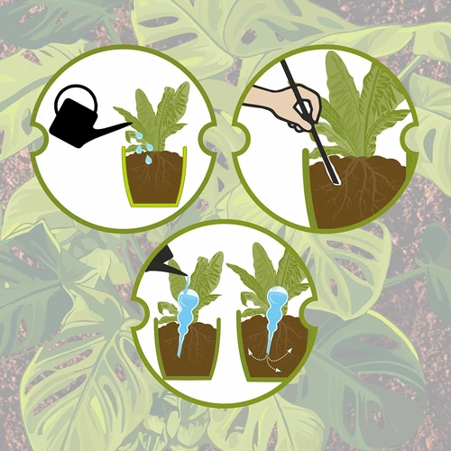 Bola de rega tripla (três câmaras), transparente e incolor, 600 ml - 10