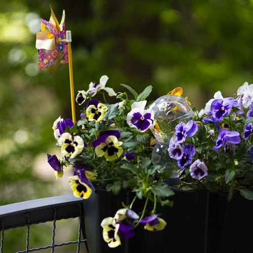 Bola de rega tripla (três câmaras), transparente, incolor, com estaca cerâmica, 600 ml - 9