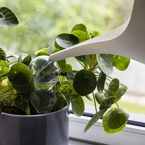 Bola de rega tripla (três câmaras), transparente, incolor, com estaca cerâmica, 600 ml - 6