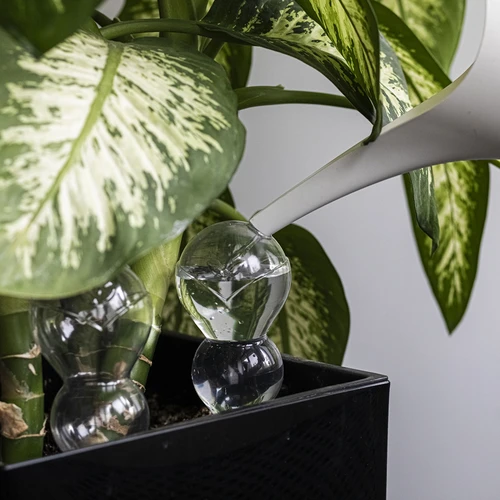 Bola de rega tripla (três câmaras), transparente, incolor, com estaca cerâmica, 600 ml - 7