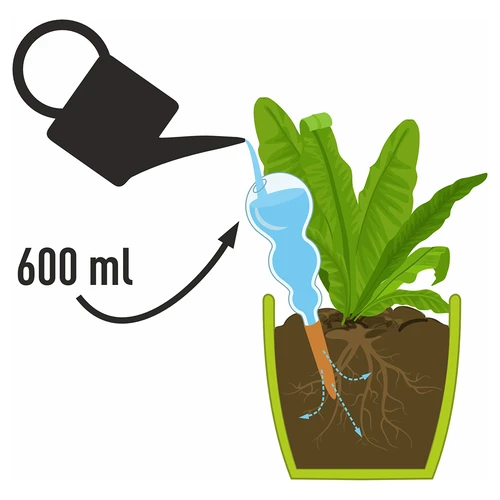 Bola de rega tripla (três compartimentos), transparente verde, com espigão cerâmico, 600 ml - 4