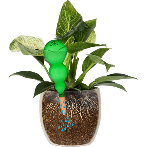 Bola de rega tripla (três compartimentos), transparente verde, com espigão cerâmico, 600 ml - 3