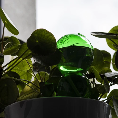 Bola de rega tripla (três compartimentos), transparente verde, com espigão cerâmico, 600 ml - 7