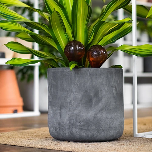 Bolas de irrigação para plantas, âmbar transparente, 400 ml, 2 peças - 13