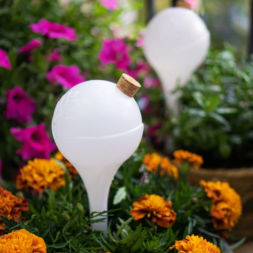 Bolas de irrigação para plantas, brancas translúcidas com rolha, 400ml, 4 peças - 11