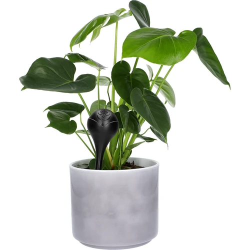 Bolas de irrigação para plantas, pretas foscas, 400 ml, 4 unid. - 6