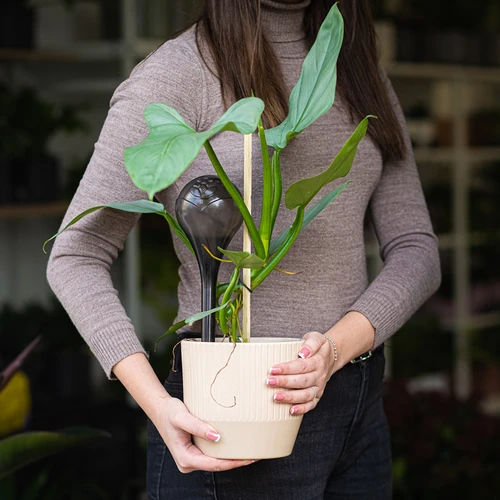 Bolas de irrigação para plantas, pretas transparentes, 400 ml, 4 unidades - 11