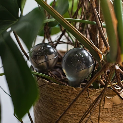Bolas de irrigação para plantas, pretas transparentes, 400 ml, 4 unidades - 13