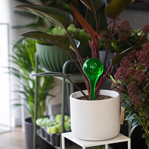 Bolas de irrigação para plantas, verdes transparentes, 400 ml, 2 unid. - 10