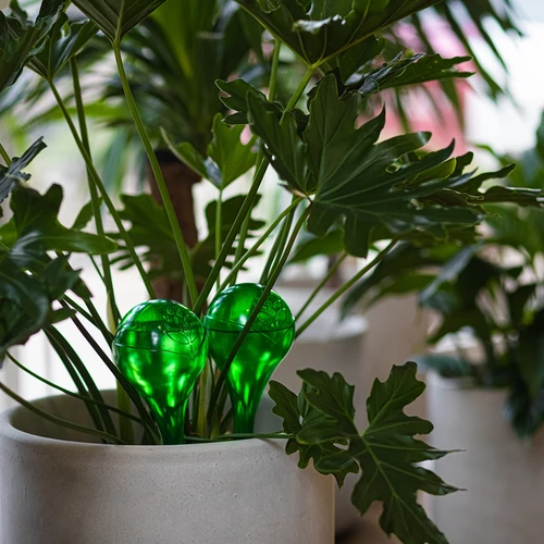 Bolas de irrigação para plantas, verdes transparentes, 400 ml, 2 unid. - 13