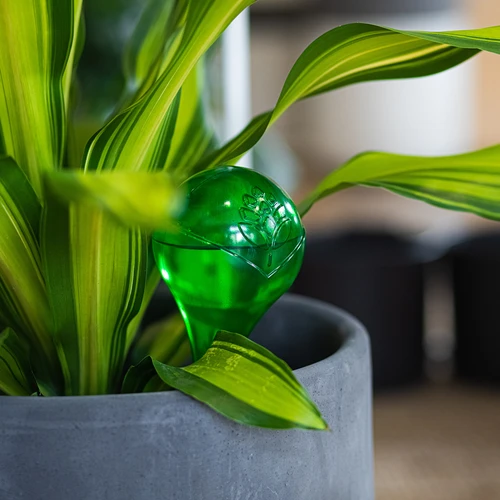 Bolas de irrigação para plantas, verdes transparentes, 400 ml, 4 unid. - 10