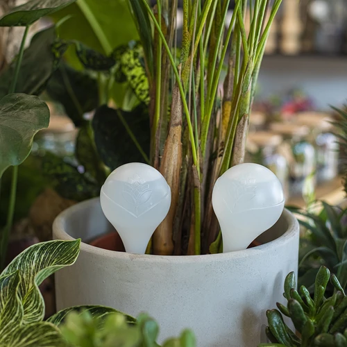 Bolas de rega para plantas, brancas semitransparentes, 400 ml, 4 unidades - 8