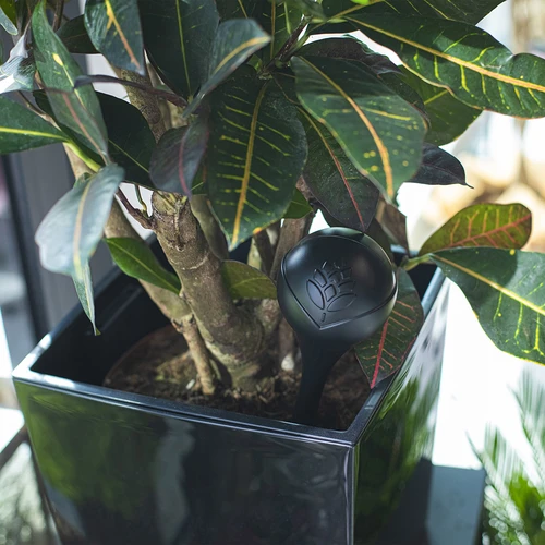 Bolas de rega para plantas, pretas mate, 400 ml, 2 unidades - 10