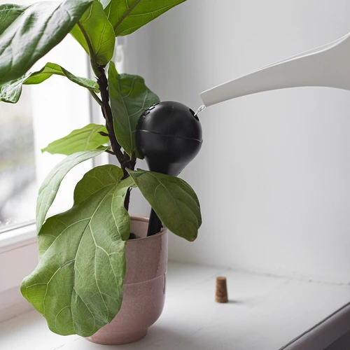 Bolas de rega para plantas, pretas mate, com rolha, 400 ml, 4 un. - 12