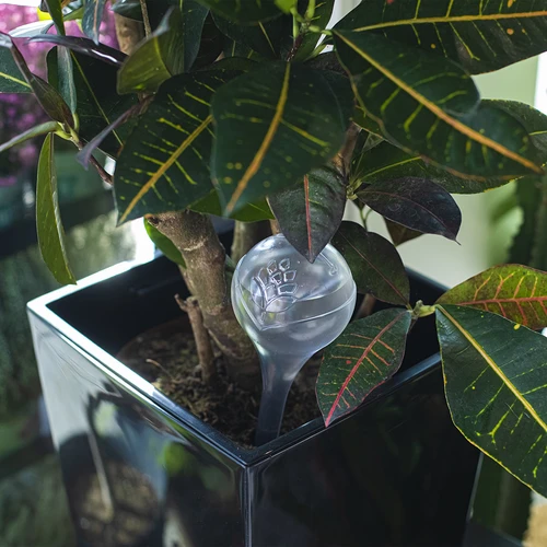 Bolas de rega para plantas, transparentes, 400 ml, 2 unid. - 10