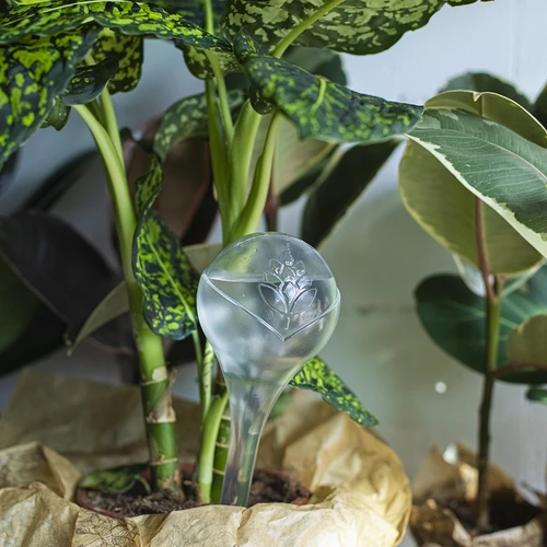 Bolas de rega para plantas, transparentes, 400 ml, 2 unid. - 11