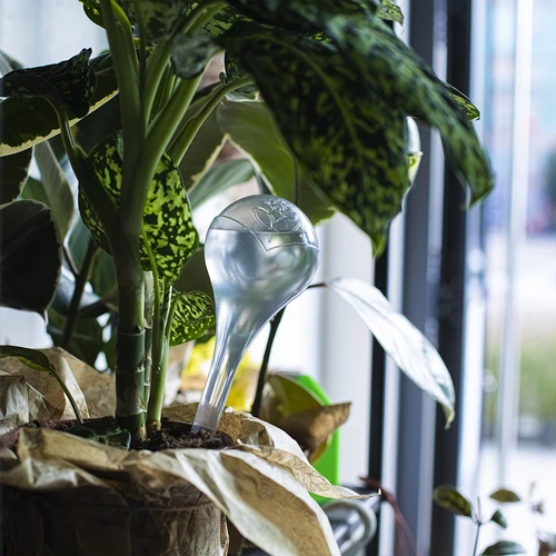 Bolas de rega para plantas, transparentes, 400 ml, 2 unid. - 12