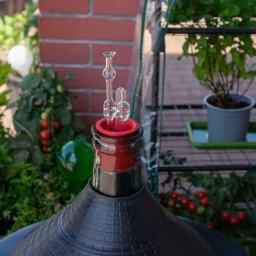 Borbulhador de fermentação em vidro — embalagem com 2 unidades - 5