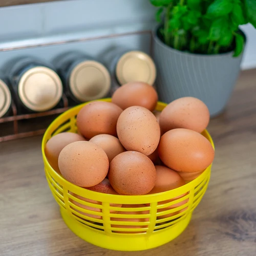 Cesto plástico para Dam 5 L, amarelo - 8