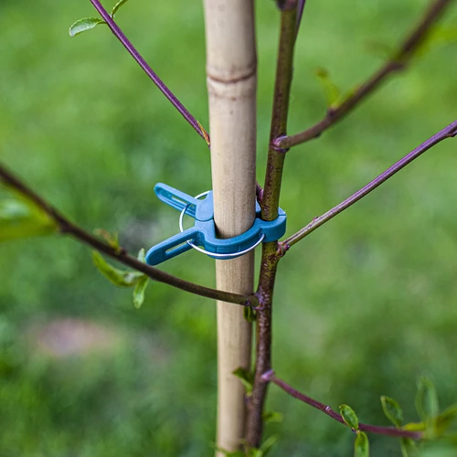 Clipes de fixação para plantas 20 unid. (8x grandes/12x pequenos) - 8