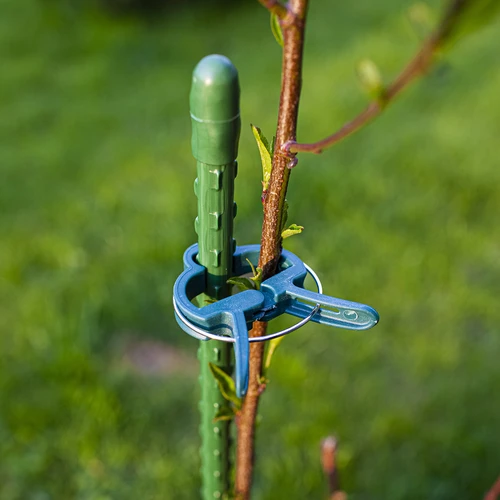 Clipes de fixação para plantas 20 unid. (8x grandes/12x pequenos) - 9