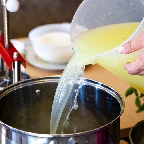 Cloreto de cálcio para queijo, 10 g - 10