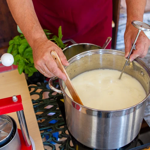 Cloreto de cálcio para queijo - 100 g - 7