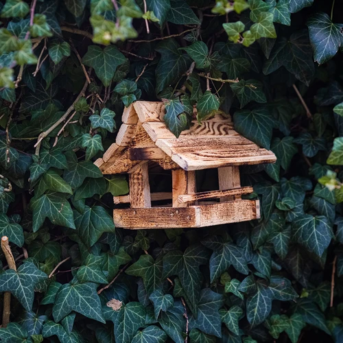 Comedouro para pássaros de madeira, queimado, casa de montanha - 10