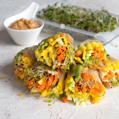 Conjunto de sementes para rebentos - 10 embalagens - 9