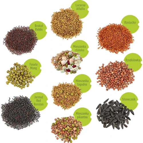 Conjunto de sementes para rebentos - 10 embalagens - 3