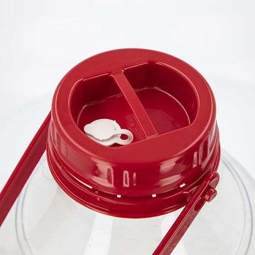 Conjunto de Vinificação Easy – maneira fácil de fazer vinho caseiro - 11
