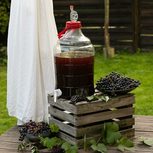 Conjunto de Vinificação Easy – maneira fácil de fazer vinho caseiro - 15
