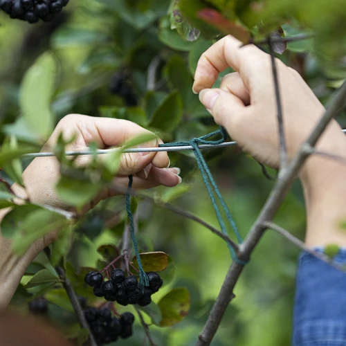 Cordão de algodão verde 2 mm/55 m/100 g - 7