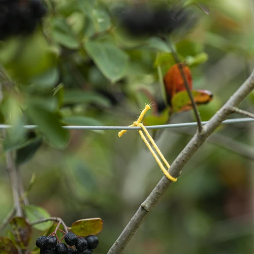 Cordel de algodão amarelo 2 mm/55 m/100 g - 7