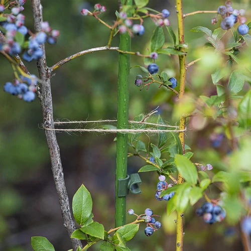 Cordel de juta 1,5 mm/100 m/100 g - 7